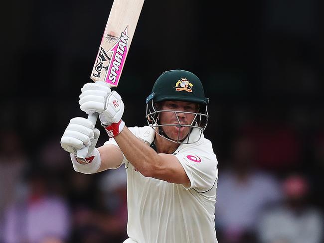 David Warner had a home summer to remember. Picture: Brett Costello