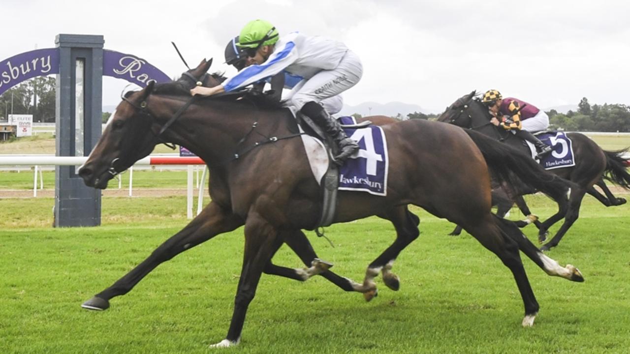 Hellbent On You returns to Warwick Farm ready to run another bold race. Picture: Bradley Photos