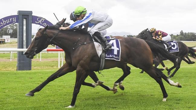Hellbent On You returns to Warwick Farm ready to run another bold race. Picture: Bradley Photos