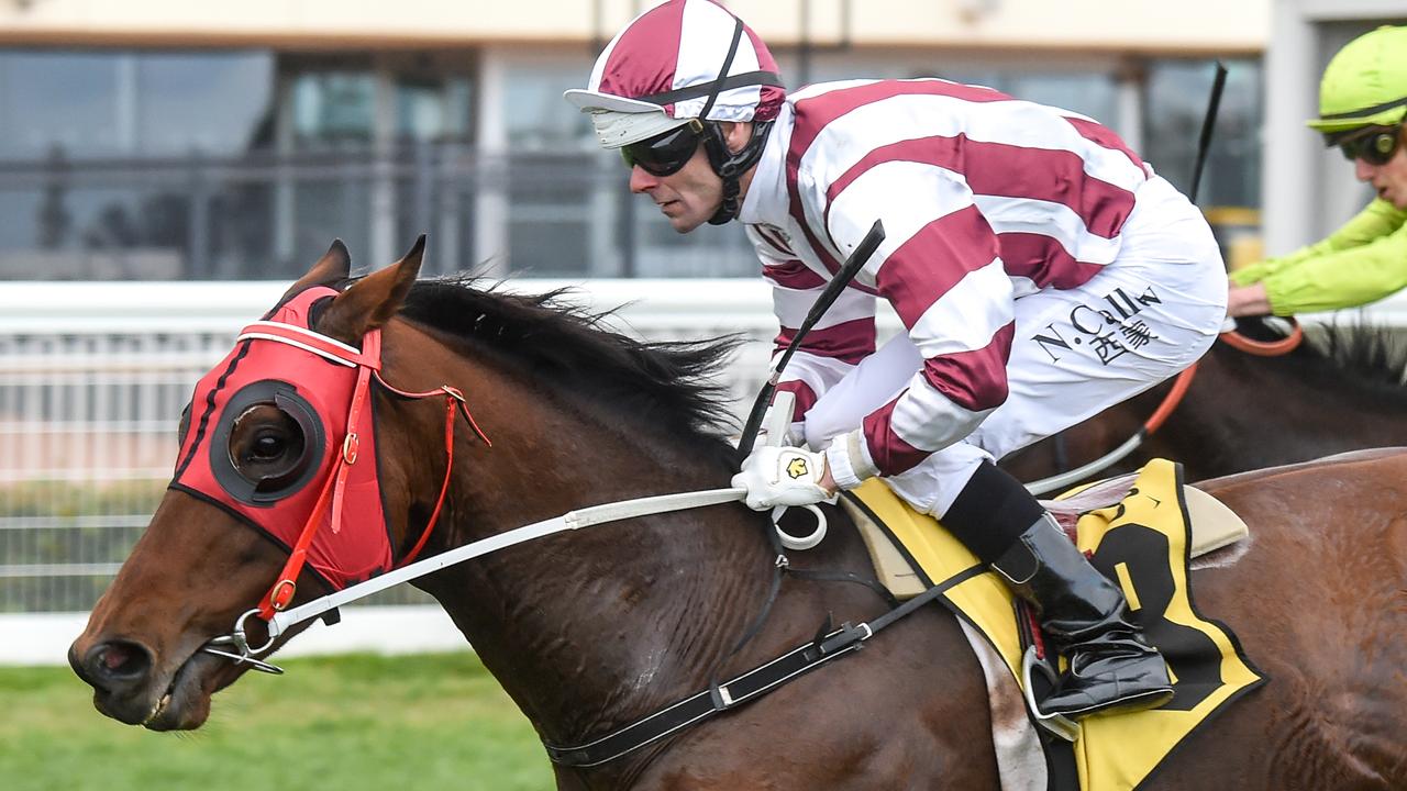 Honest sprinter Vainstream could go around over the odds when he resumes at Pakenham on Saturday. Picture: Racing Photos via Getty Images