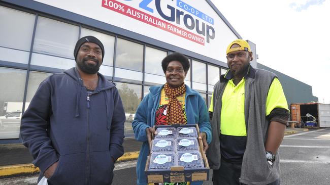 Daniel Wenau, Nettie Viranamanga and Rodman Vuti have all been picking blueberries in Coffs Harbour after travelling from Vanuatu as part of the Pacific Island worker scheme. Photo: Tim Jarrett / Coffs Coast Advocate