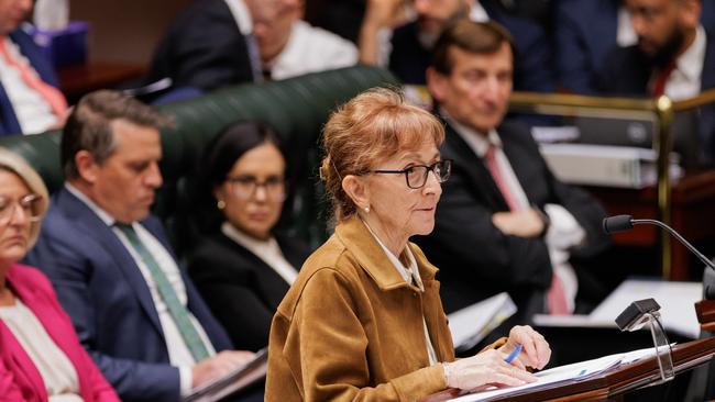 Lismore MP Janelle Saffin said she couldn’t afford the squatters’ movement to impede reconstruction efforts. Picture: NewsWire / Max Mason-Hubers