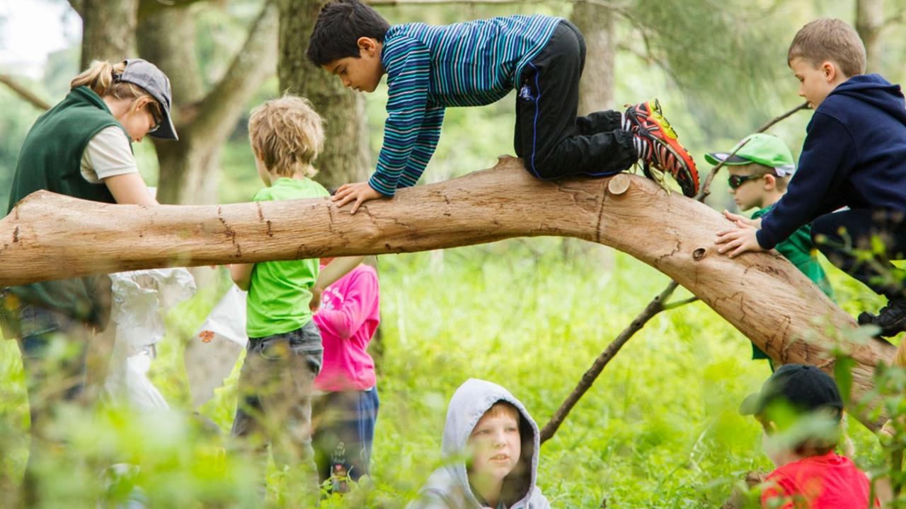 Getting back to nature at Centennial Parklands.