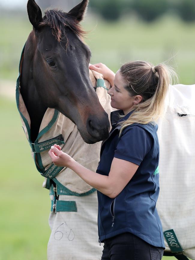 Payne will ride two-year-old filly Sotirio on Cup Day.