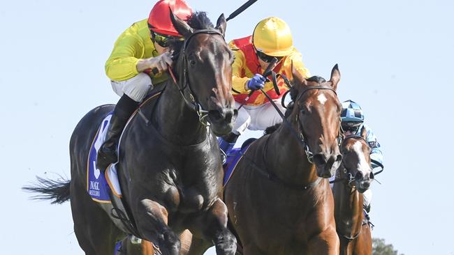 Memo (yellow cap) is aiming to win the Magic Millions on Saturday. Picture: Bradley Photos