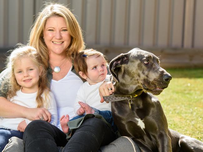 Bronwyn Le Grice with her kids, Pip (3) and Kenzie (11 months) and their dog Blue. Picture: Jay Town