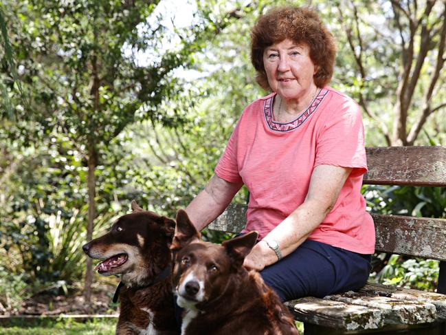 Ellen Saville poses for a photo with her dogs Red and Ruby at her home in Alpine in the Southern Highlands on the 31st of January 2020. Photographer: Adam Yip