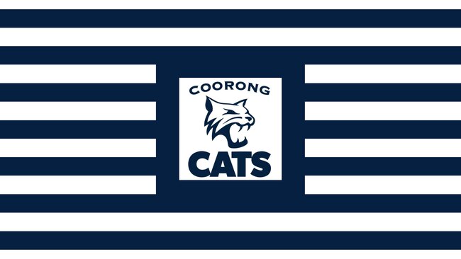 The Border Downs Tintinara Crows and the Meningie Bears have merged to become the Coorong Cats. Picture: Facebook.