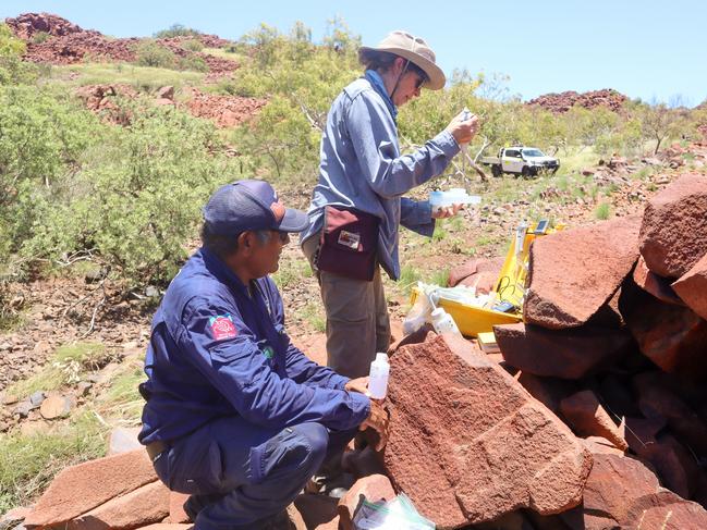 Senior Rock Art Monitoring Ranger Glen Aubrey assists Professor Katy Evans sample pH on a rock art panel in Murujuga National Park. Image: Murujuga Aboriginal Corporation