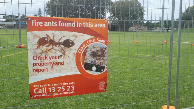 A sign at Runaway Bay following the discovery of fire ant nests there in March.