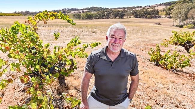 Seppeltsfield winery owner Warren Randall on the site of his proposed Oscar development. Picture: Brenton Edwards