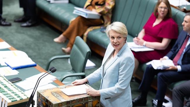 Environment and Water minister Tanya Plibersek during Question Time this week. Picture: NCA NewsWire / David Beach