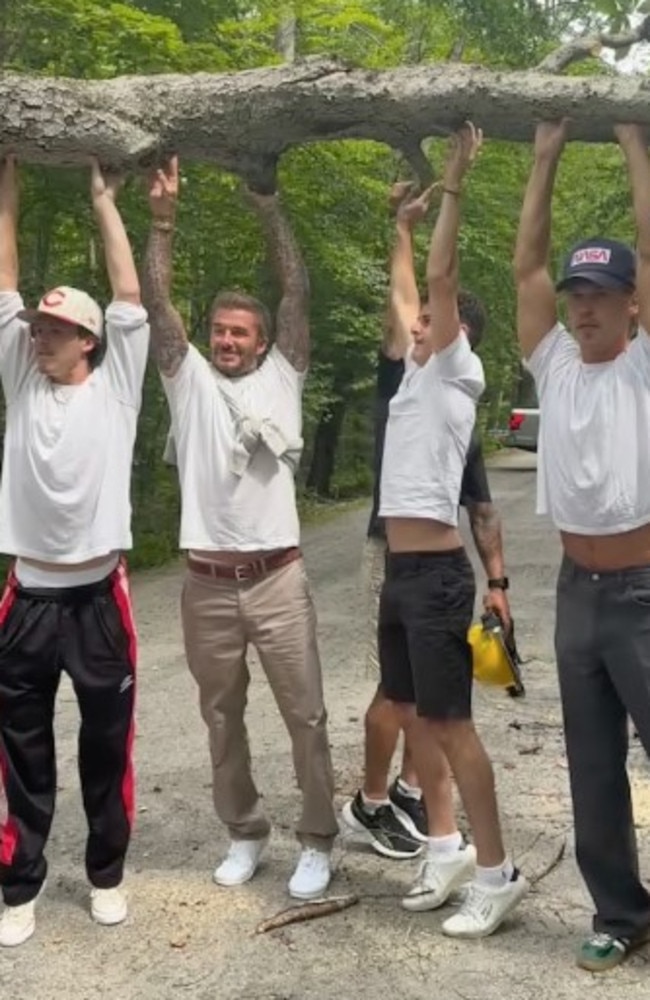 David Beckham and his son Cruz (left) help lift a fallen tree in Muskoka, Ontario