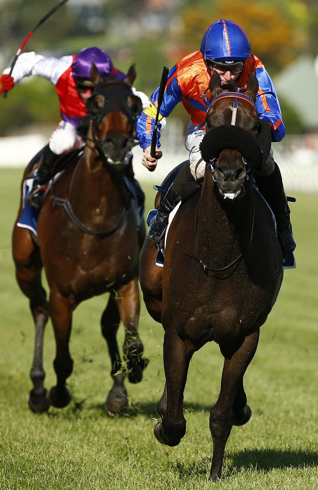 James McDonald pilots Zebrinz to victory at Flemington last year. Picture: Colleen Petch