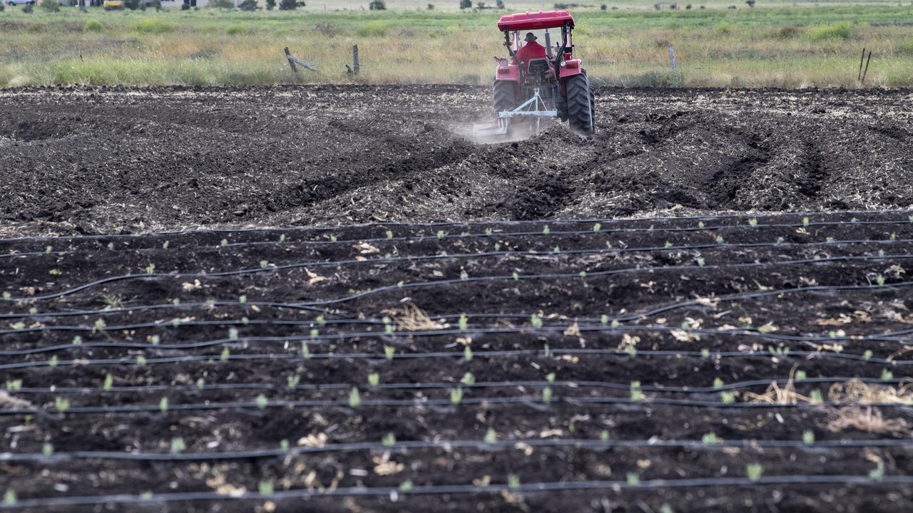 Craig Vohland at work on Windy Acres Farm at Westbrook getting the field ready for the next 2000 lavender seedlings. Picture: Nev Madsen