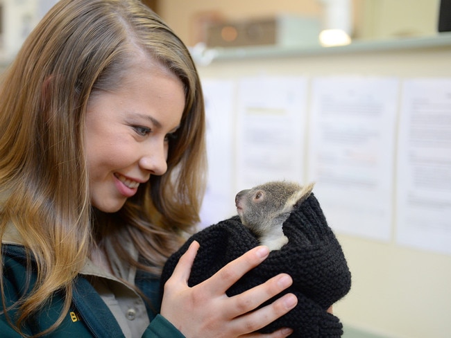 Making friends! Bindi nurses a baby koala.