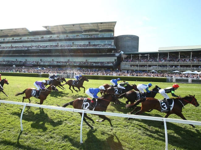 Mr Balding has supported innovations like The Everest which has revitalised the spring racing calendar.