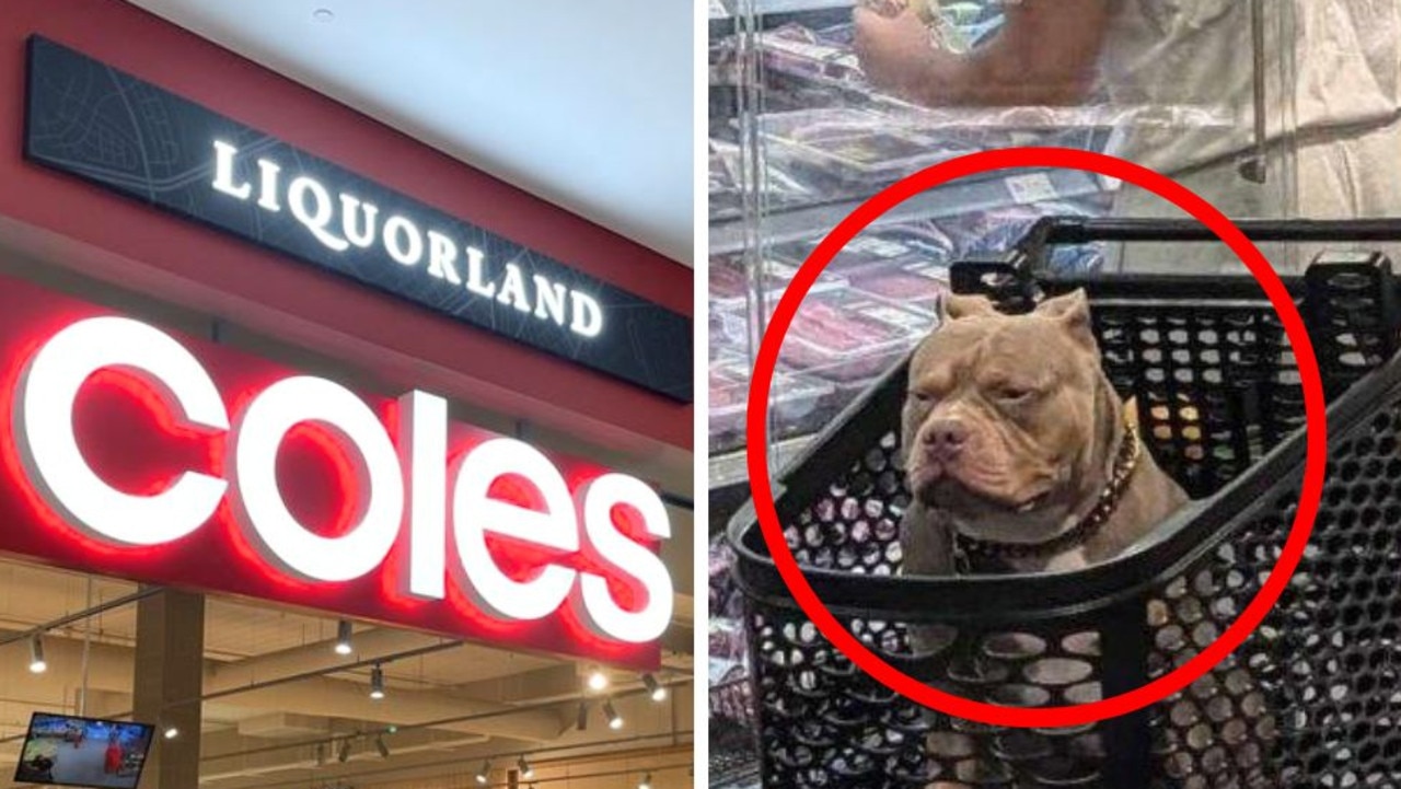 Coles shopper’s ‘gross’ dog act disgusts