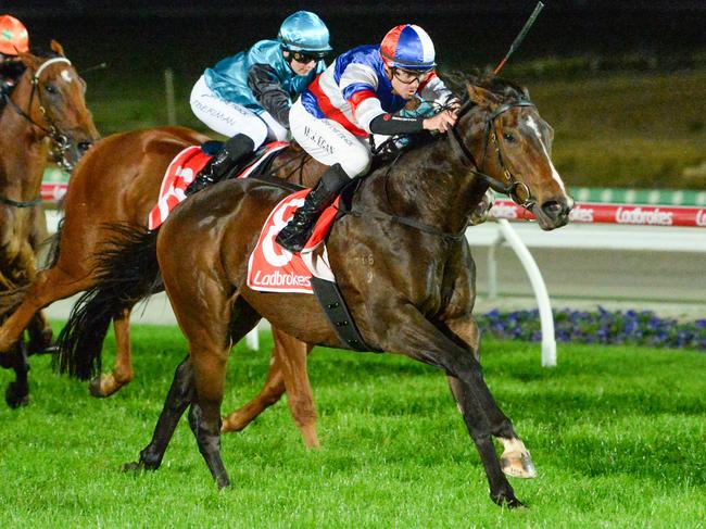 The Open ridden by Billy Egan wins the Ladbrokes Odds Surge BM64 Handicap at Cranbourne Racecourse on April 26, 2024 in Cranbourne, Australia. (Photo by Ross Holburt/Racing Photos via Getty Images)