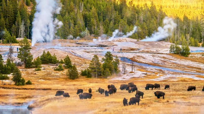 11 best things to pack for a Yellowstone National Park holiday
