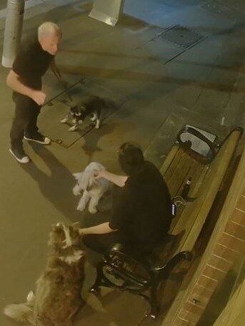 CCTV footage of the confrontation between the two dog owners. Picture: NSW Police.