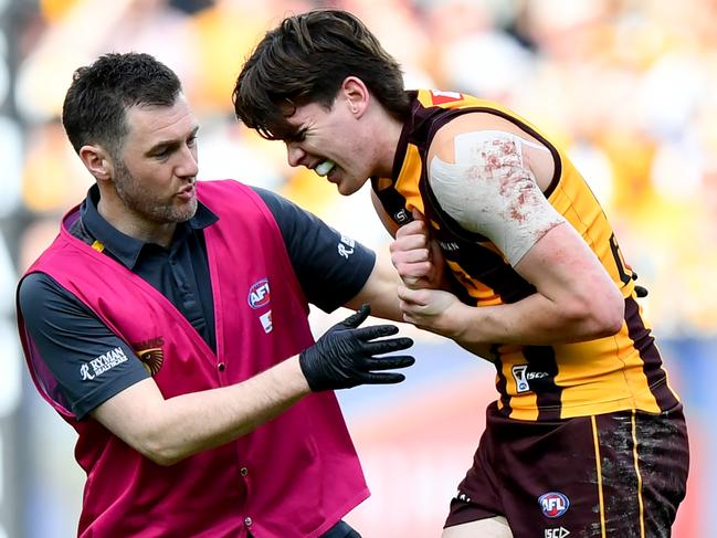 MELBOURNE, AUSTRALIA - AUGUST 18: Will Day of the Hawks receives medical attention during the round 23 AFL match between Hawthorn Hawks and Richmond Tigers at Melbourne Cricket Ground, on August 18, 2024, in Melbourne, Australia. (Photo by Josh Chadwick/AFL Photos/via Getty Images)