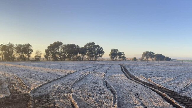 Frost on the fields at Buckland Park. Picture: Debra West