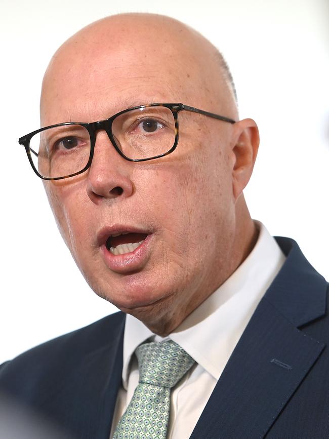 And Peter Dutton are set to face off at the election. Picture: NewsWire / John Gass