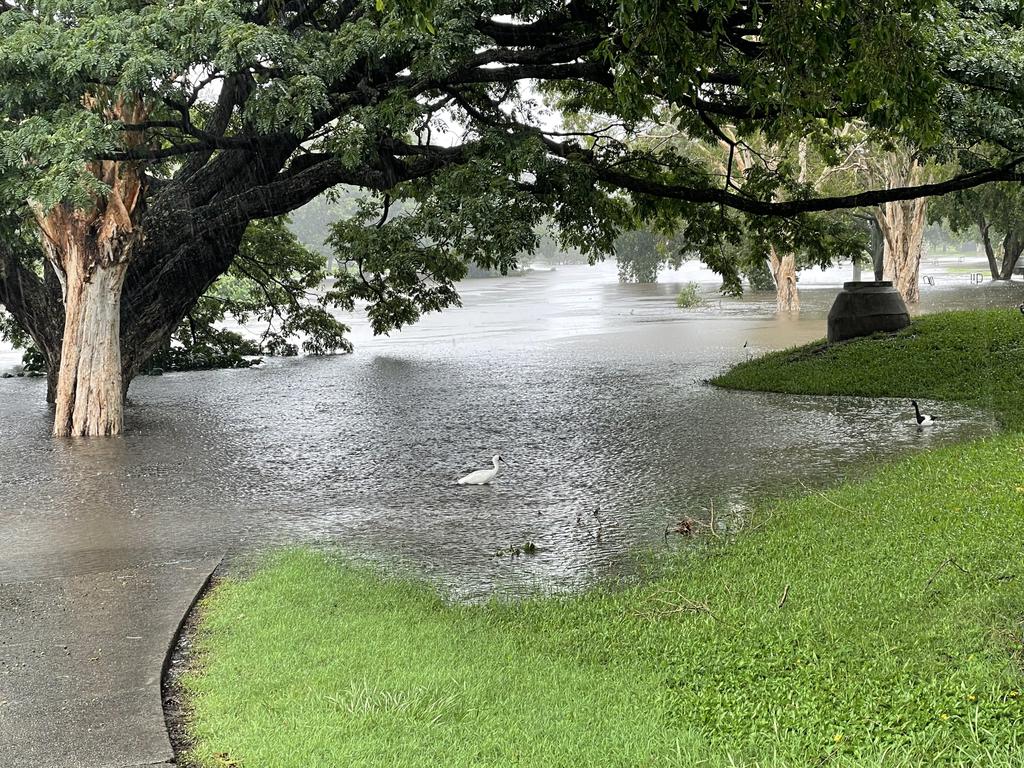 Mackay weather. The Gooseponds has swallowed fringing walking paths after the region was soaked with rain on Tuesday morning, February 4, 2025. Picture Janessa Ekert