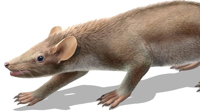 The creepy critters that roamed with dinosaurs