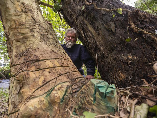 Richard Hartley with a tree ringbarked by Melbourne Water. Picture: Valeriu Campan