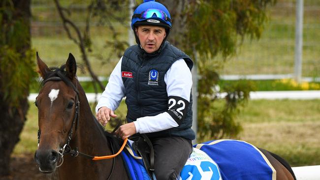 Danceteria, at Werribee trackwork, will run in the Caulfield Stakes this Saturday. Picture: AAP