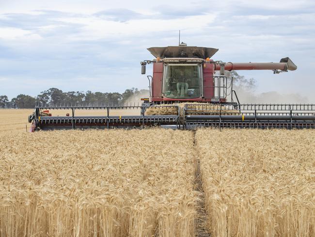 Harvest - Simon Wall at Pine LodgeSimon Wall is a livestock and cropping farmer who will still be harvesting wheat.He thinks he will be finished on Monday afternoon. His property has missed most of the wet weather and storms, so the wheat is performing well and no quality downgrades. PICTURED: Generic harvest. Header and chaser bin. Wheat harvest. Wheat crop. Harvesting wheat. Harvesting. Stock Photo. Picture: Zoe Phillips