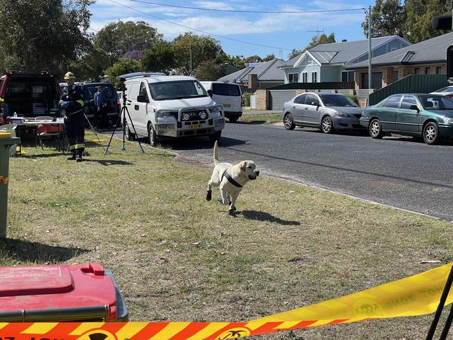 A ignitable liquid detection K9 searched the flat and was rewarded with a play afterwards. Picture: Fiona Killman