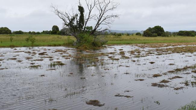 Flooding from March 2022 on the site of the proposed Twin Waters West development.