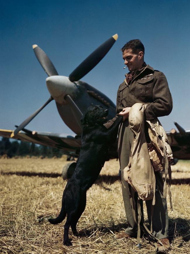 The RAF’s topscoring fighter pilot, Wing Commander James ‘Johnnie’ Johnson, with his Spitfire and pet Labrador Sally in Normandy, July 1944, part of an extraordinary collection of rare colour photographs of the Second World War that feature in a new book. Picture: Imperial War Museum