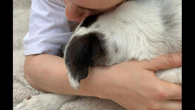 Billie Eilish childhood dog dies | The Australian