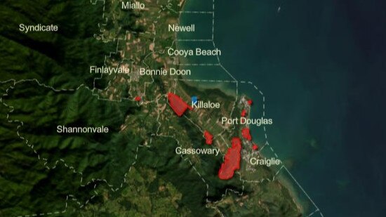 Port Douglas and surrounds. The interactive map displays a yellow shaded overlay for yellow crazy ant zones and a red shaded overlay for electric ant zones. Source AntZone