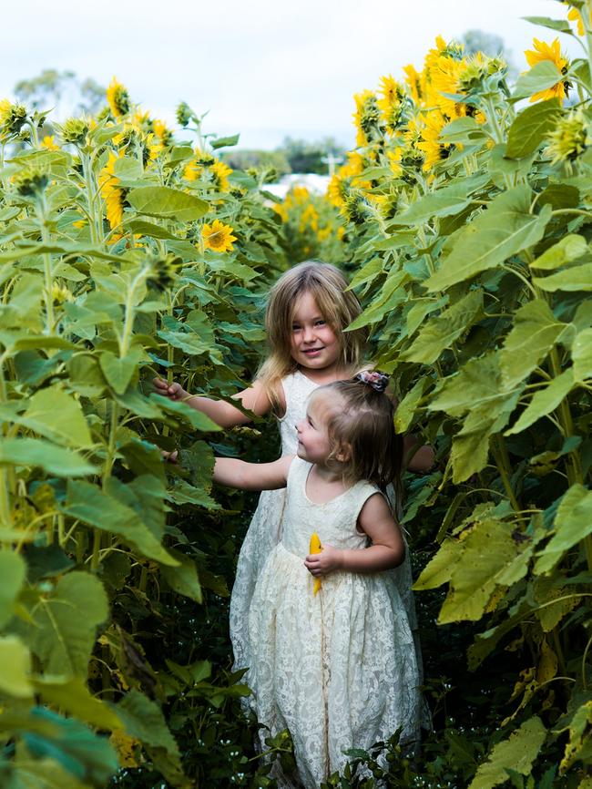 Autumn Woods, 5, and Harmony Woods, 3, at the Tolga sunflower fields. Photo: Supplied