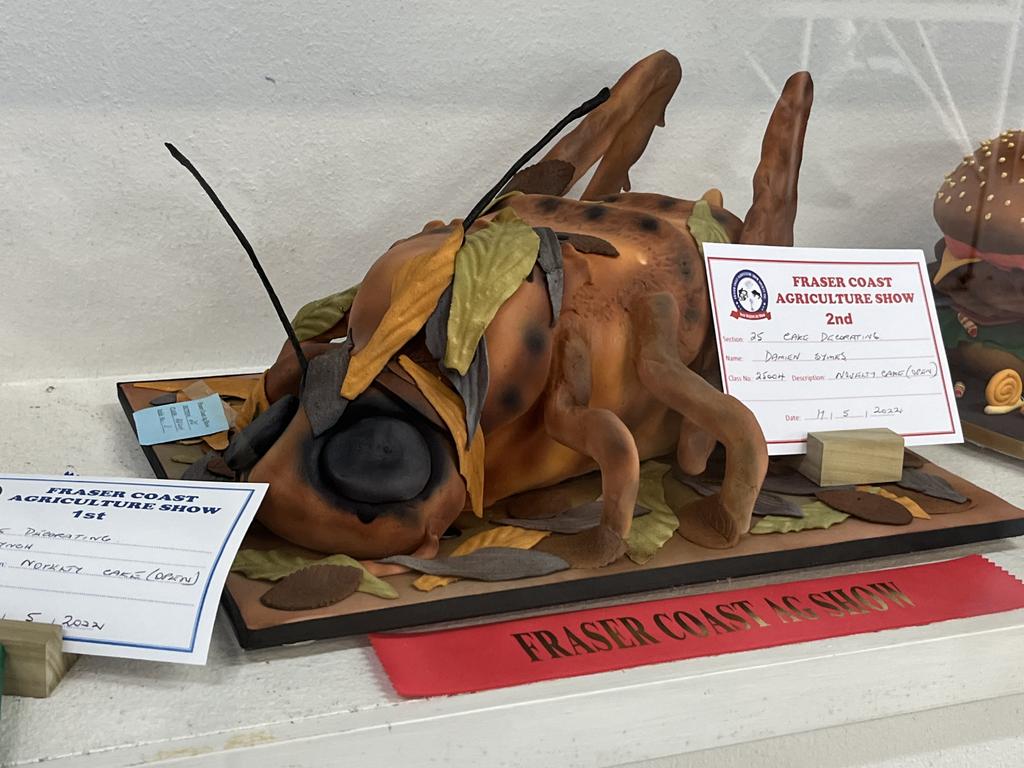 One of the award-winning cakes on display at the Fraser Coast Show.