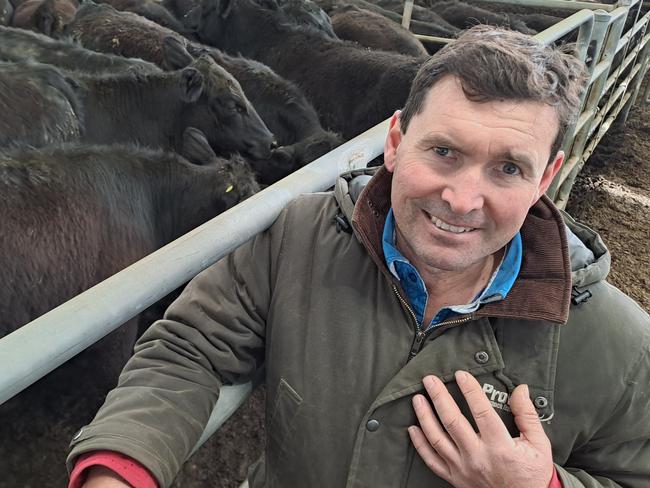 Bryan Leahy of Glenlyon Pastoral in the highlands, sold a feature line of yearling Angus steers at $1250 and $1090, at up to 335c/kg liveweight as heavier cattle with frame benefited from South Gippsland buyers wanting suitable bullock replacements.