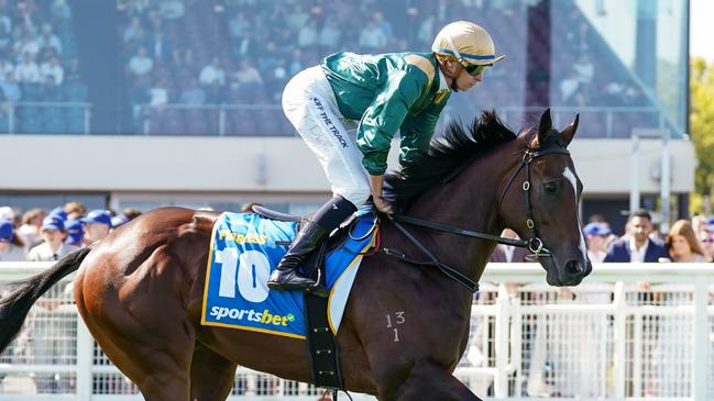 Fearless on the way to the barriers prior to the running of  the Sportsbet Blue Diamond Stakes at Caulfield Racecourse on February 24, 2024 in Caulfield, Australia. (Photo by Scott Barbour/Racing Photos via Getty Images)