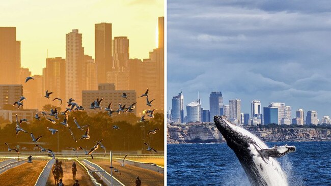 Melbourne is now in negative territory for the year at minus 1.9 per cent, while Sydney is still up 3 per cent.