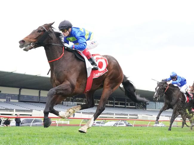 Consistent galloper Rackemann will find himself in the perfect assignment at Wednesday's Ballarat meeting. Picture: Racing Photos via Getty Images.