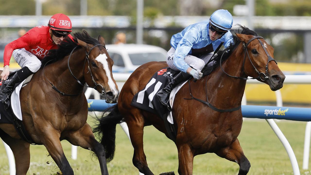 Lady In Pink primed for bold The Coast showing