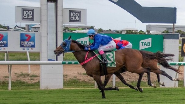 A game of inches fell the way of Siberian Route after the horse managed to claim a major victory in its return to racing