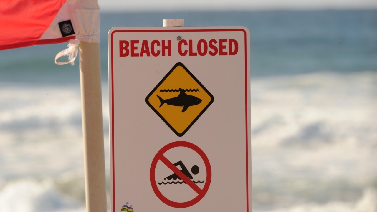 ‘Drones in the sky’ prove effective in protecting beach goers from sharks