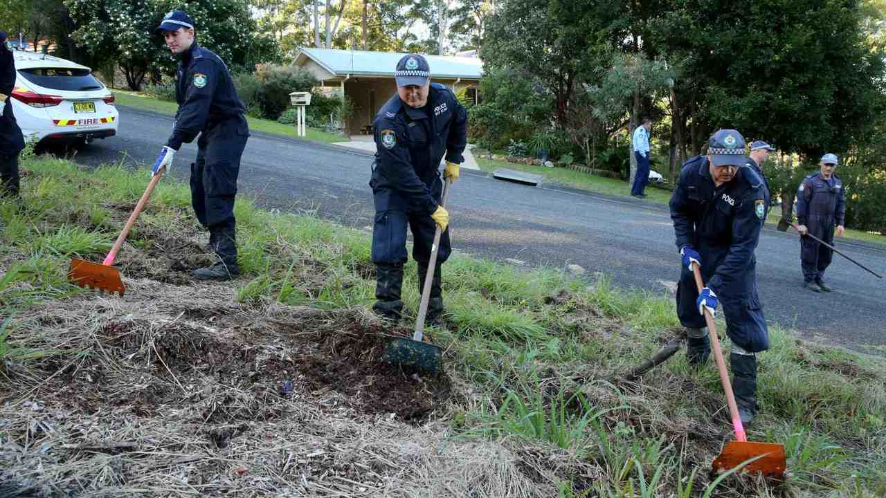 Police say bushland search helped but failed to solve William Tyrrell case