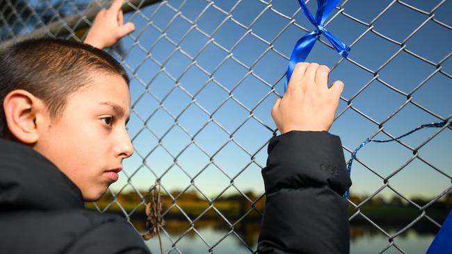 Blue ribbons have been tied to the fence in protest at the blue-billed ducks’ habitat being destroyed.