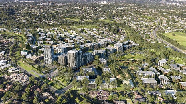 ‘Growing pains’: Telopea in the future.